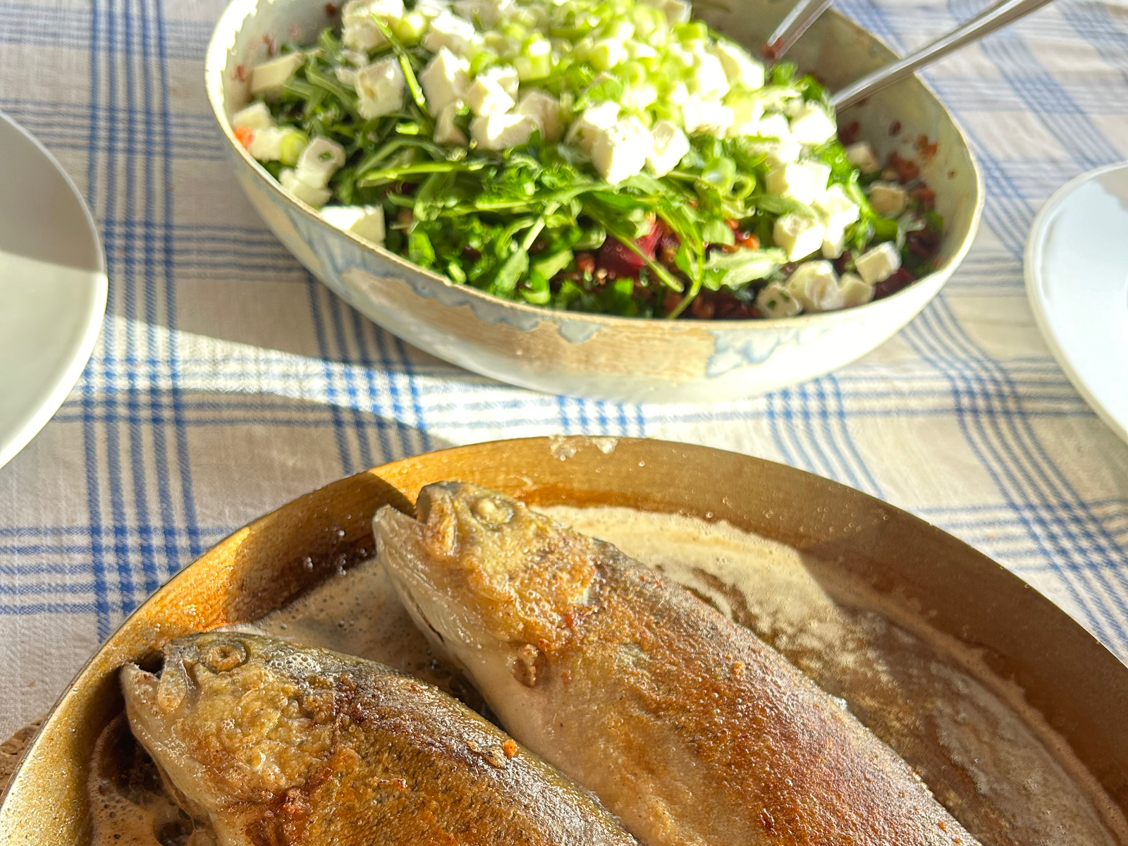 Küste, Kultur, Kulinarik