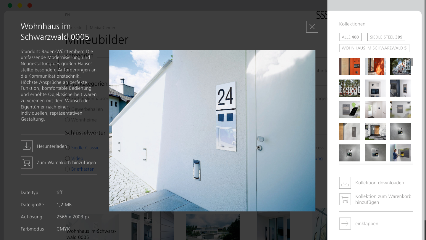 Webbasierte Corporate-Design-Guideline mit Assetmanagement